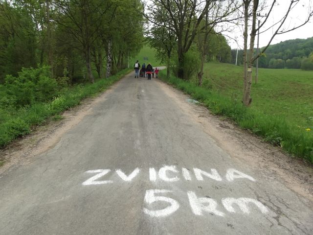 02_zvicina.jpg